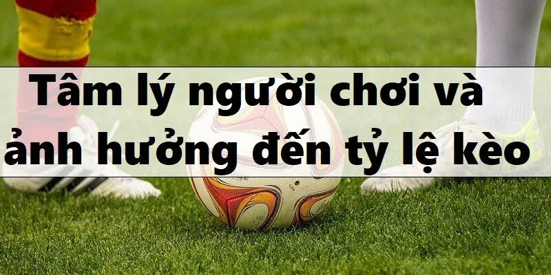 Cách nhà cái ra kèo như thế nào - Tâm lý người chơi và sự ảnh hưởng đến tỷ lệ 